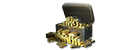 2,000 Gold