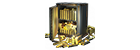 5,000 Gold